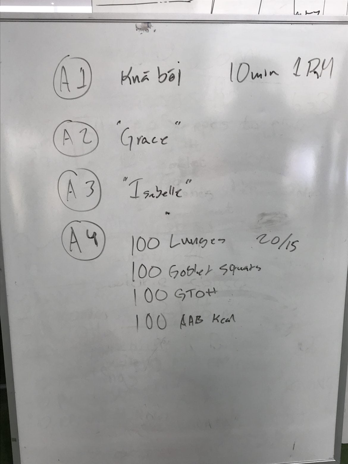 img_7486 - Återhämtning och revansch