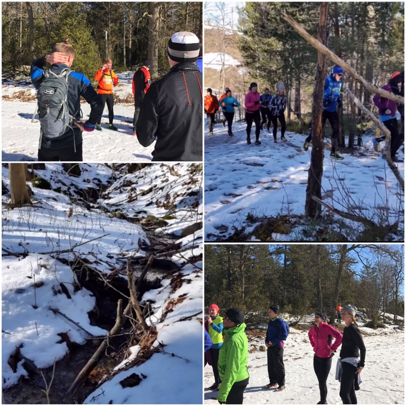 skogen - Traillöpning - styrka, flås och naturupplevelse!