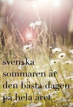 sommarjpg - Happy Friday. Inga men.