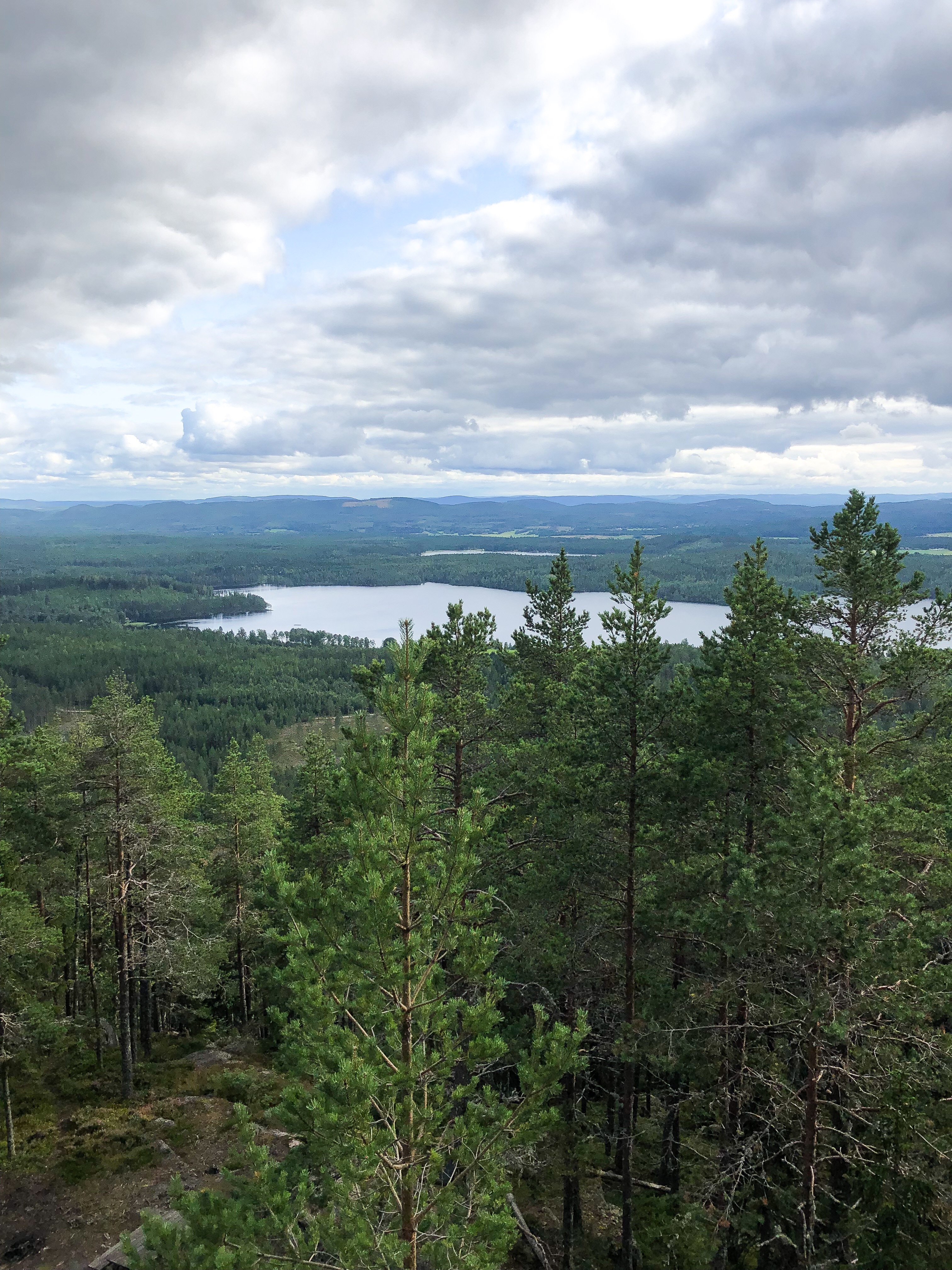 8DF52D42-17DD-49D4-80E7-AB252479607D - landet