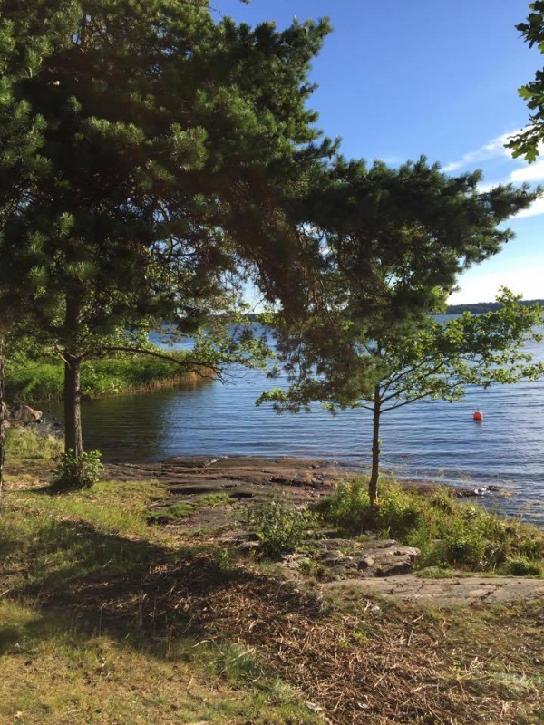 20706901_1663215440386287_1942937074_n - Hösten på ingång...