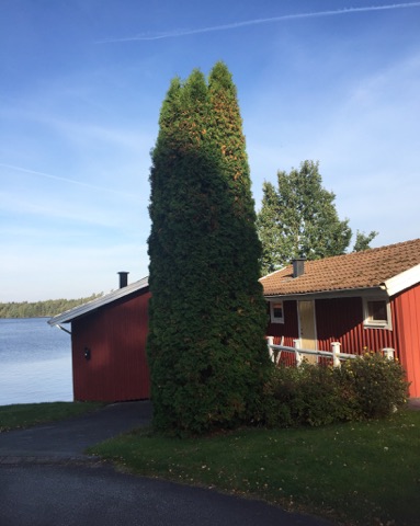 22192887_1727808063927024_822866746_n - Träningshelg tillsammans med Sabina Dufberg