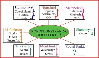 Bildresultat för konditionsträning