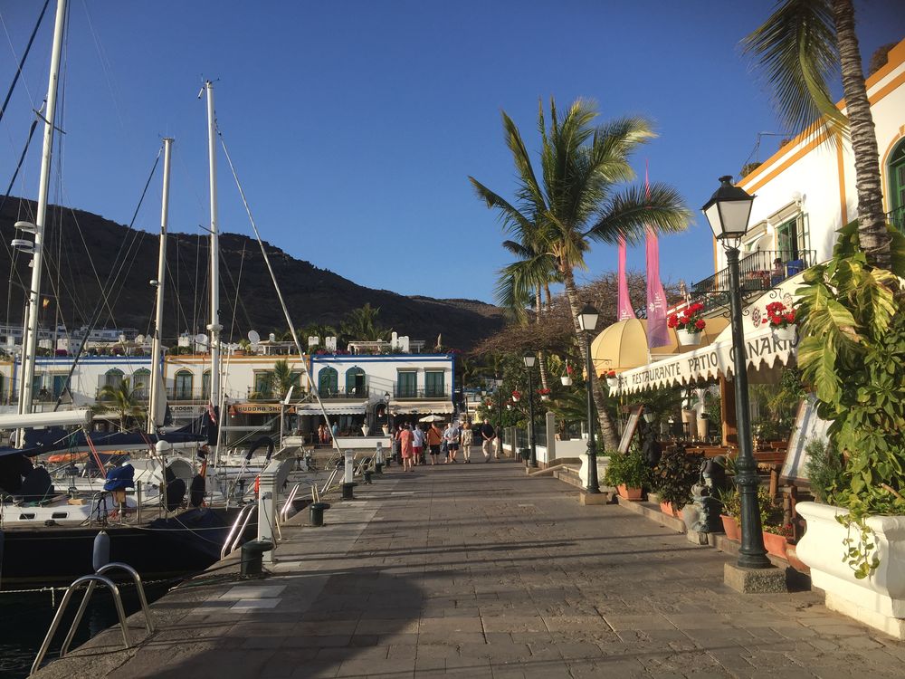 img_7699_58cf9fa92a6b221d5c0f6bf7 - God morgon från ett soligt Puerto de Mogan