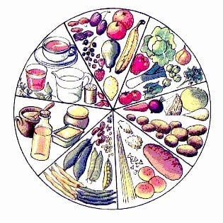 laktoovovegetarisk-matcirkel - Utmaning under februari