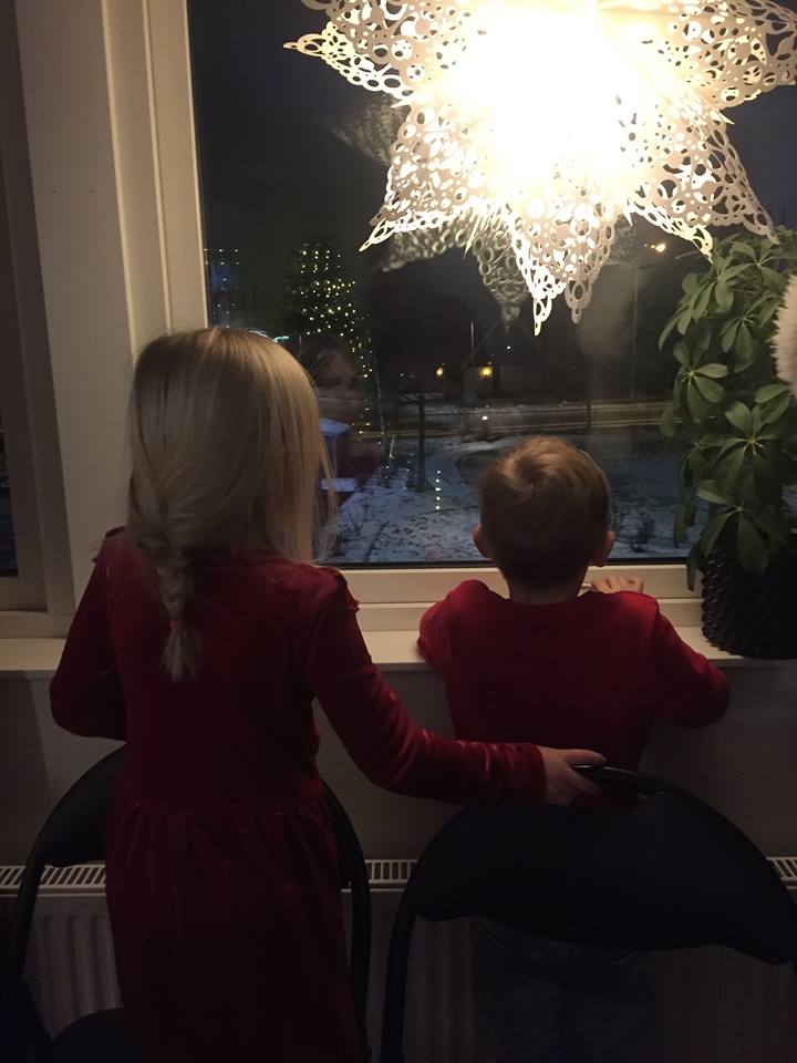49114013_369896466904659_9198806245555830784_n - julfirande