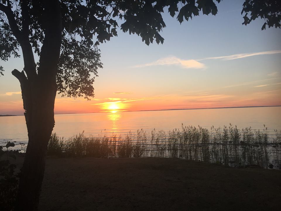 49326552_638468579901813_3817276450608775168_n - årssummering