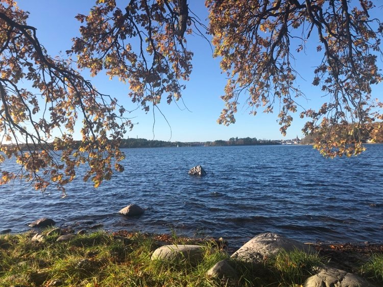 124376387_757020438184886_6303586395726365343_n - Gränsö Spa