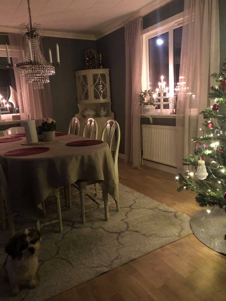 125393499_3936942246334909_2916302412089704540_n - Hur kan DU göra julen bättre för någon annan?