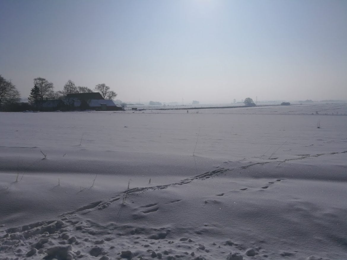 Snö 2018