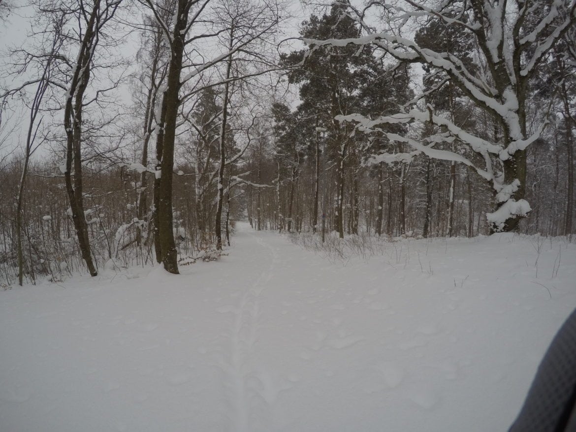 Snö i Skåne