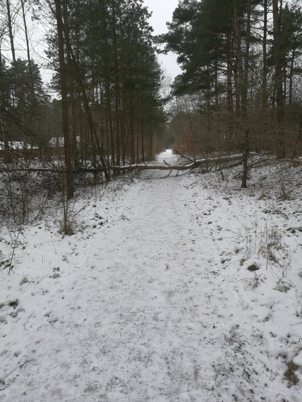 Hinder på vägen