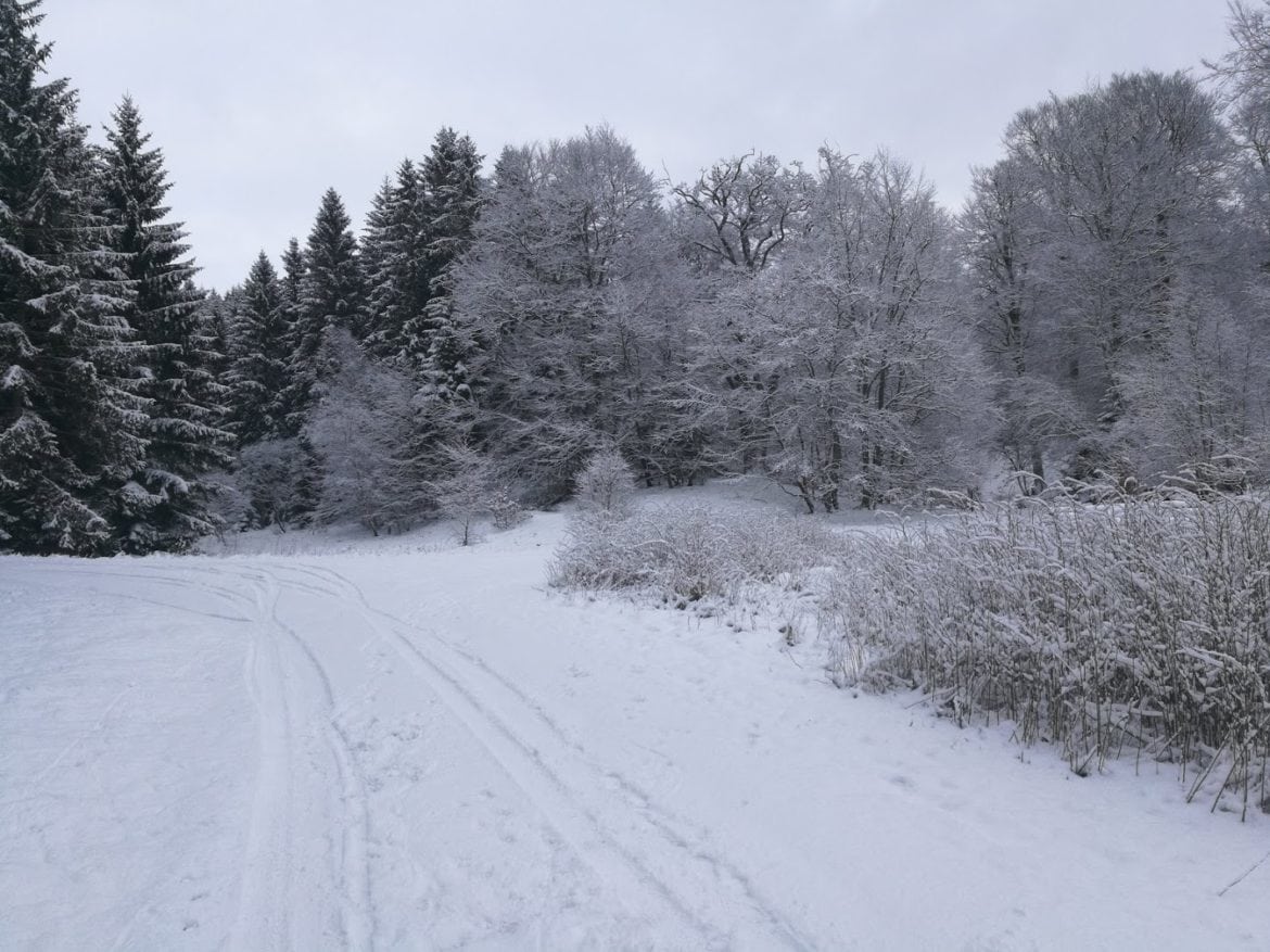 Vacker vinter