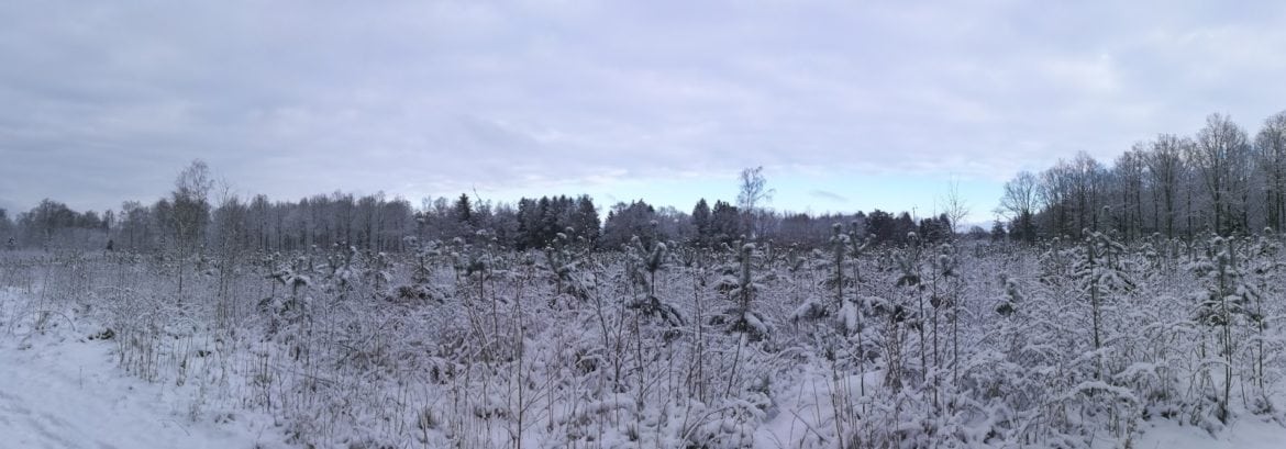 Vinter i Skåne