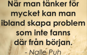 nallepuh-300x190 - hjärnspöken