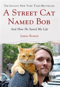 street-cat-named-bob - resa