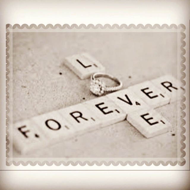 10946514_1381142772200512_621737968_n - Stegtävling