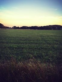 11953243_10155981426965156_2002352315483799512_n