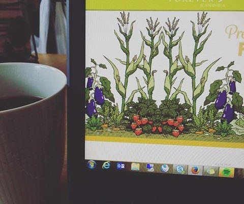 13320000_10156970761820156_6129804425375498349_n