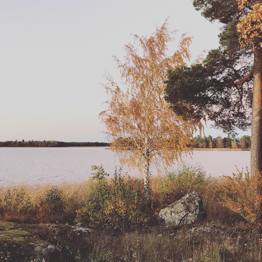 Sjöutsikt