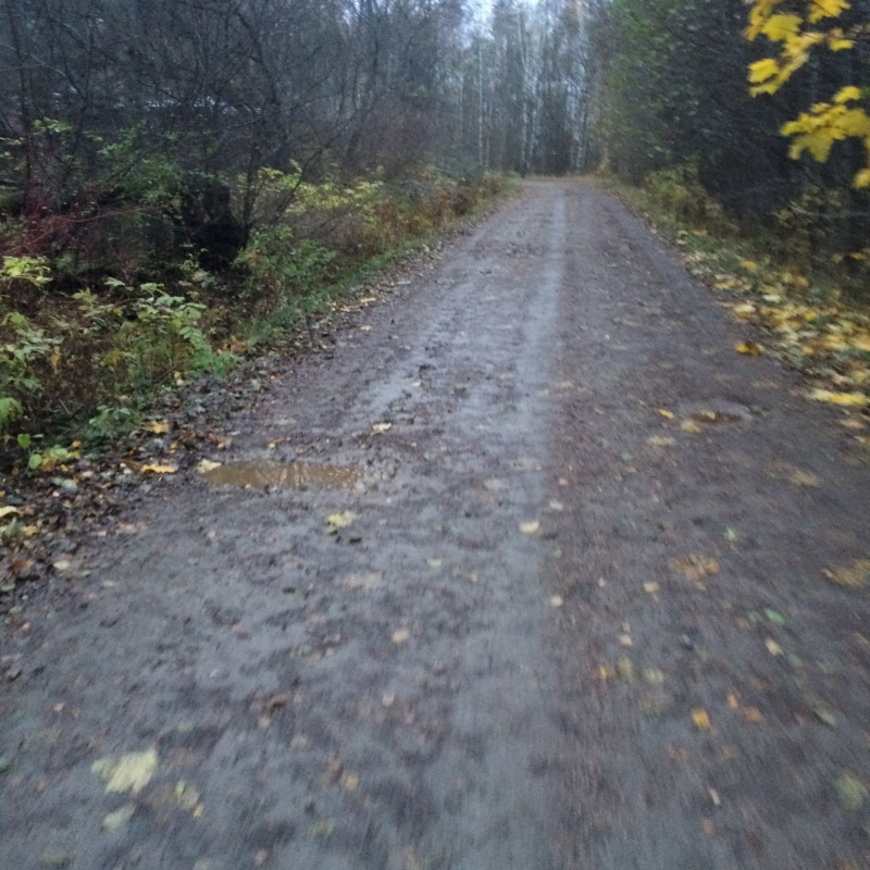 IMG_3906 - Morgonpromenad och vinterdäck