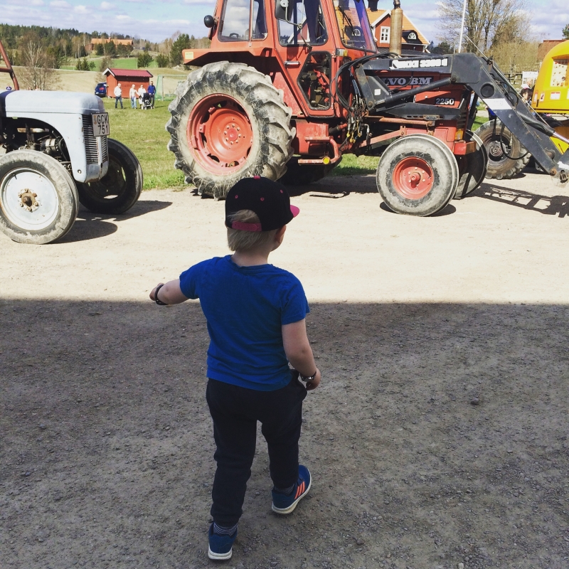 IMG_5014 - Vilodag - Gårdsdag