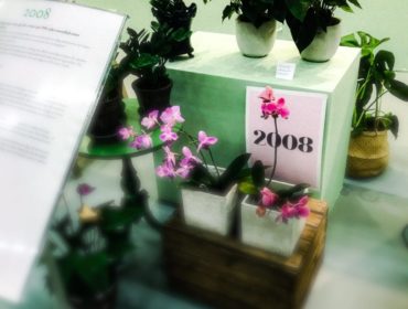 blommor, villamässan