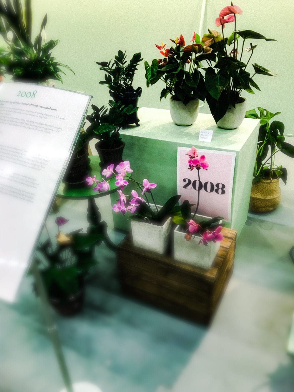 blommor, villamässan