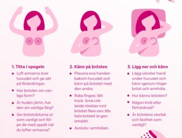 erc7jfm4rbjldlyrprpo