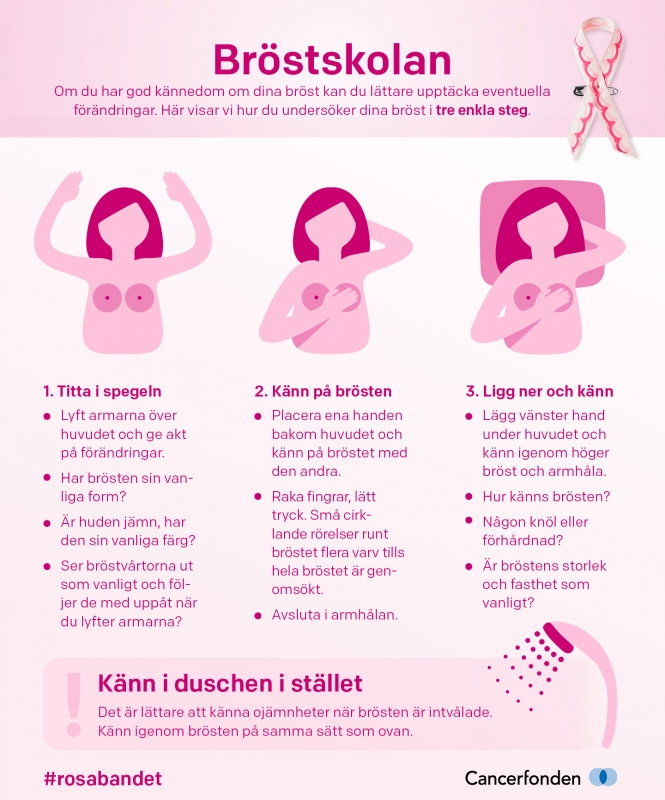 erc7jfm4rbjldlyrprpo - Bröstskolan