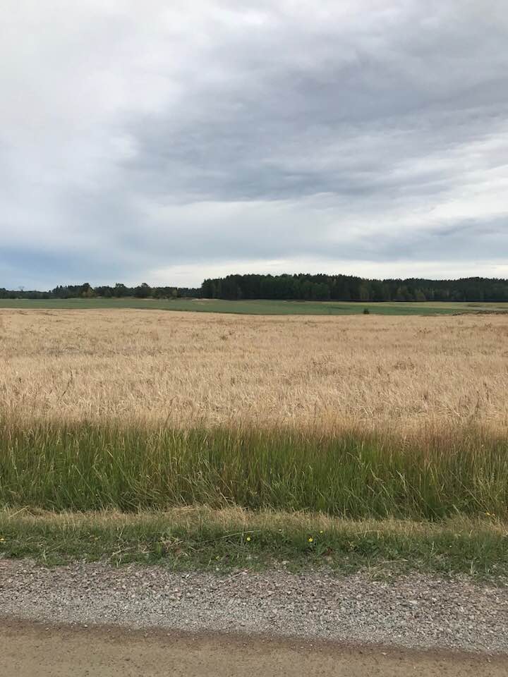 landskap - Öppna landskap