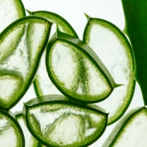 thumb_429557__external_module_x1