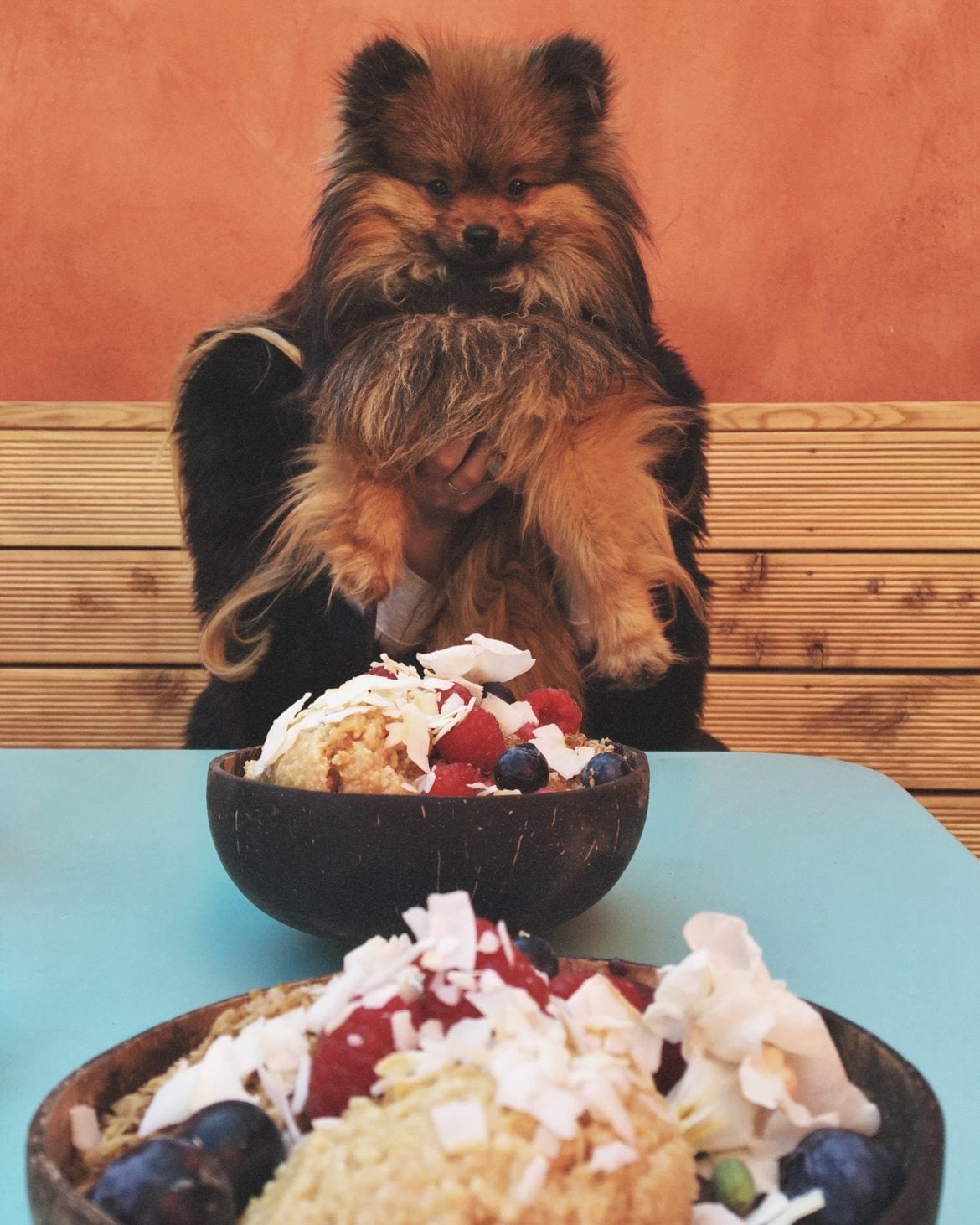 IMG_3139 - Stockholm bästa caféer