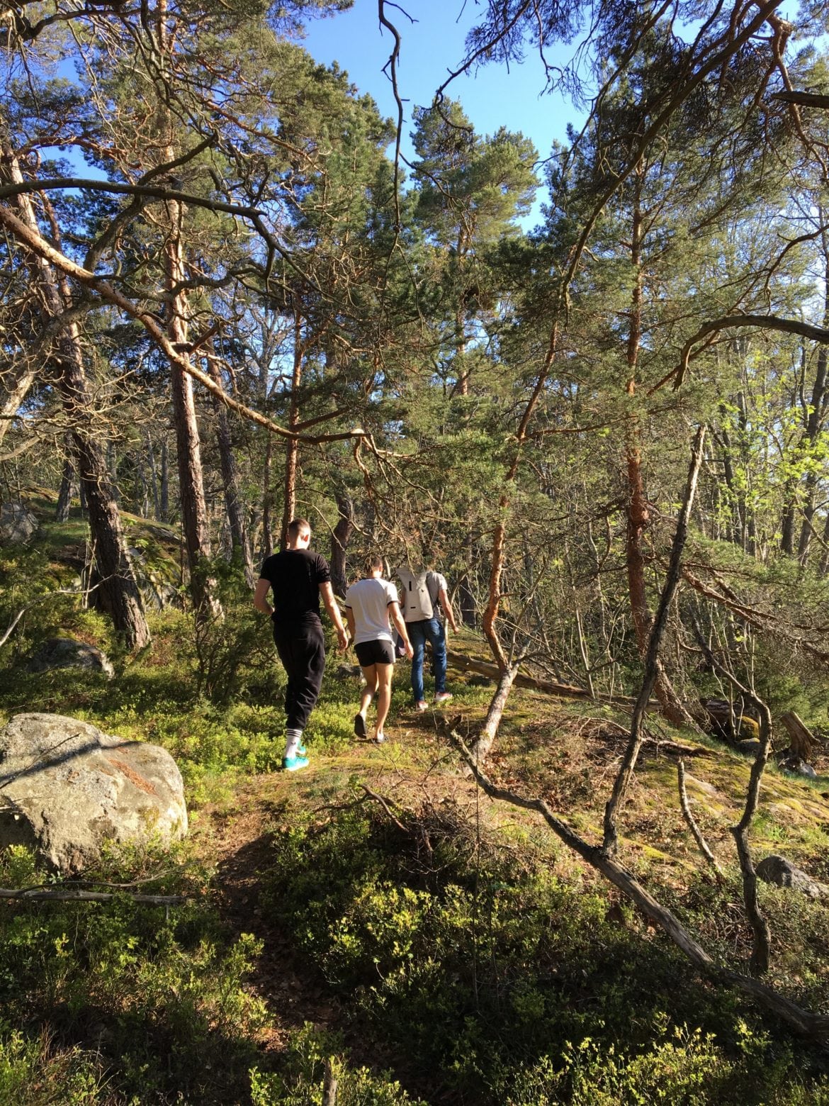 IMG_3823-e1526234979798 - Släppte jobb & drog ut i Skärgården!