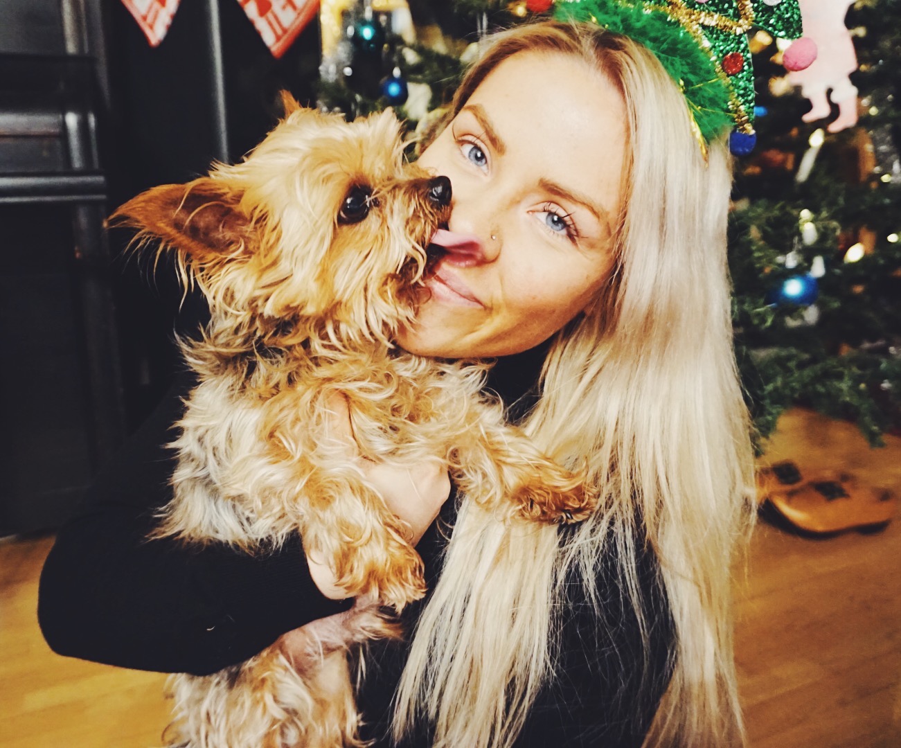 XJRZ9158 - CHRISTMAS GIFTS + MINIDOG