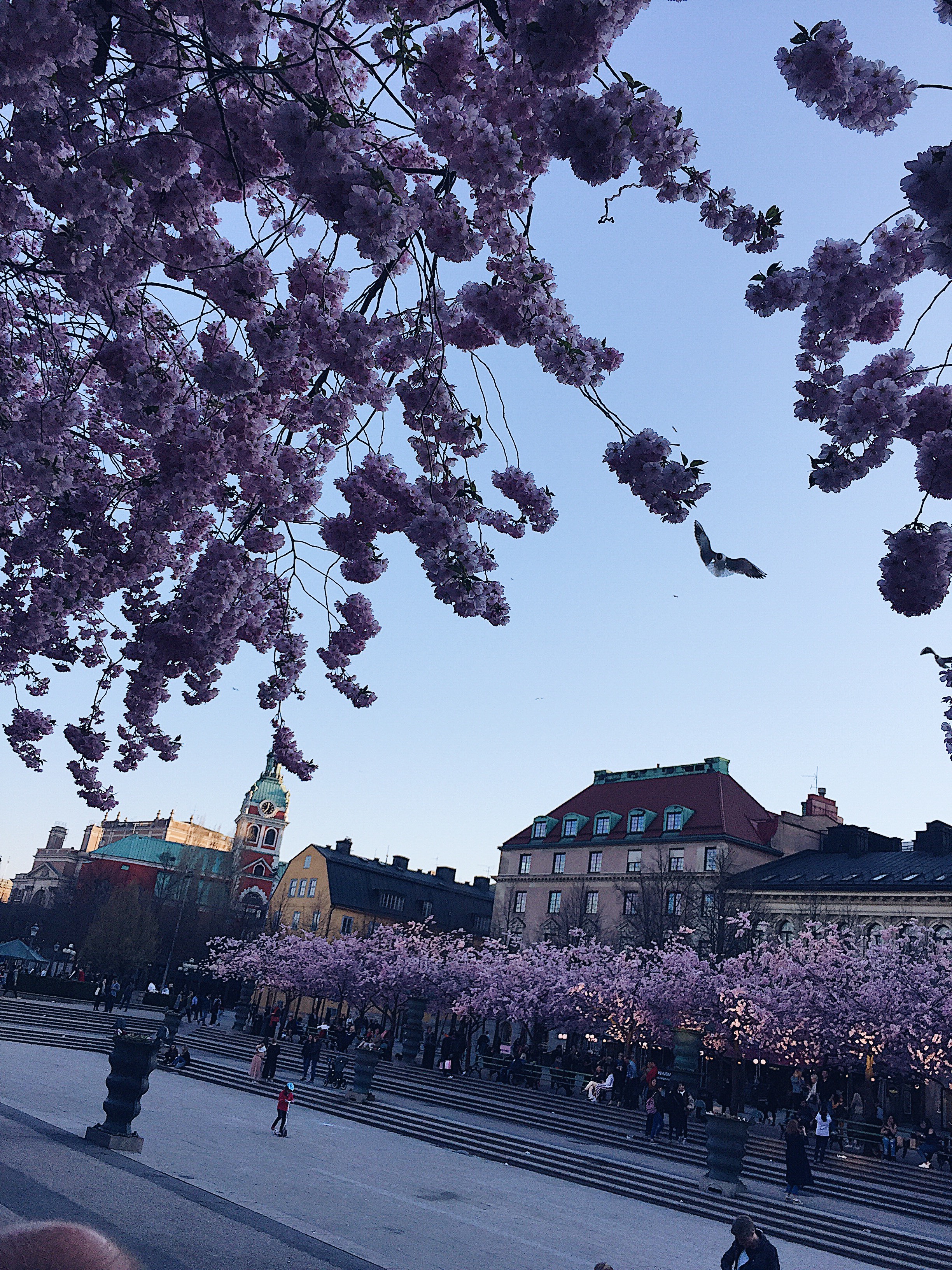 994D314F-10D0-4425-A082-C75C64C9DD26 - FUCKING ENDORFINER