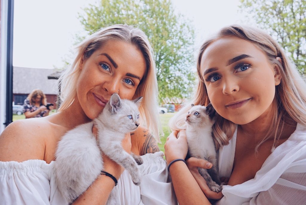 6C85A27C-B35D-4482-8B66-0FC66A18791A-1024x684 - KONFA OCH SMÅLAND