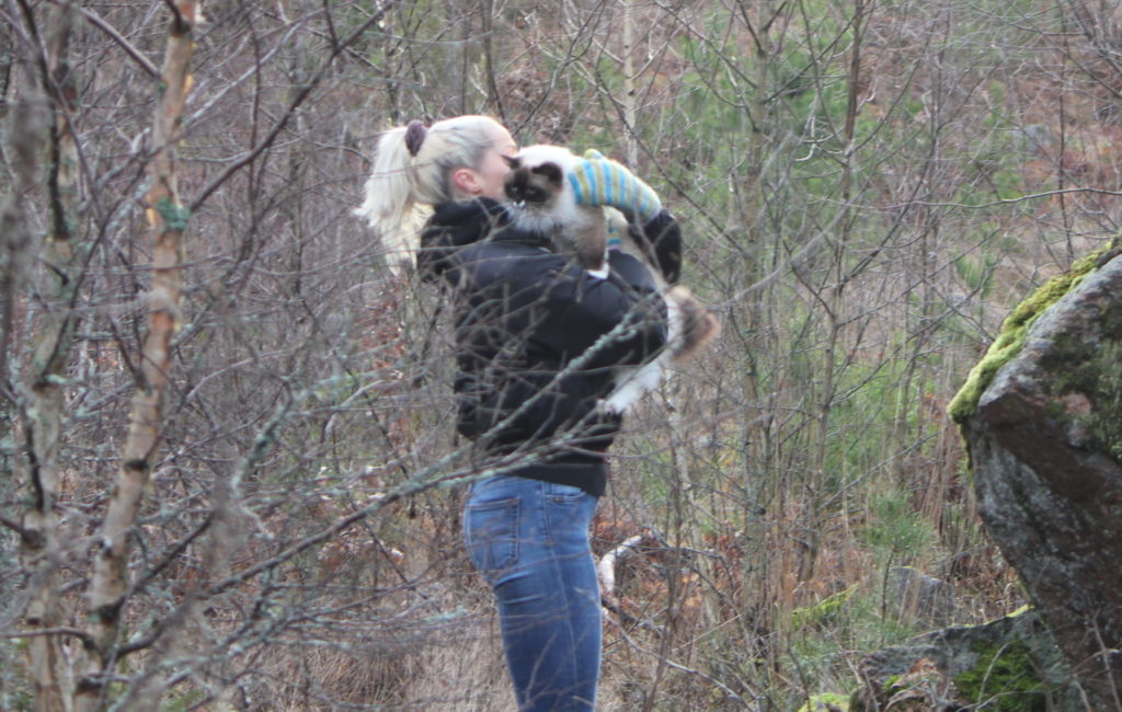 IMG_5823-scaled-e1583879119538-1024x650 - KÄNSLOSTORMAR I LYCKOFORMAT