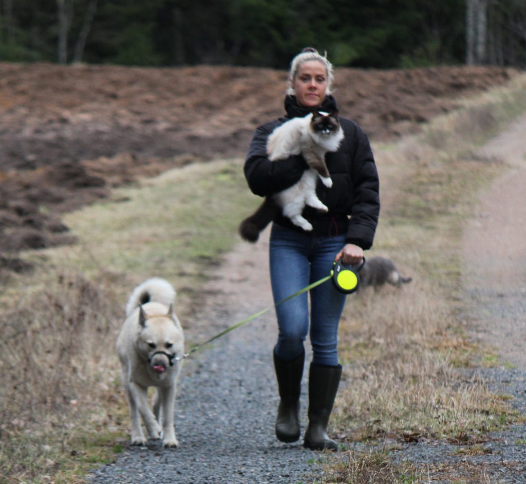 IMG_5962-scaled-e1583879069648-1024x941 - KÄNSLOSTORMAR I LYCKOFORMAT