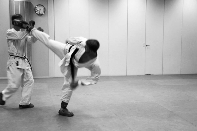 patrick-rapp-sporthälsa-karate-spark - personliga