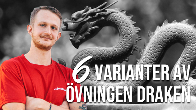 6-varianter-av-draken-patrick-rapp - draken