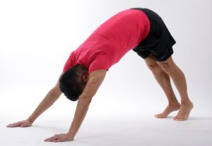 sport-1686065_1920-300x207 - adho mukha svanasana