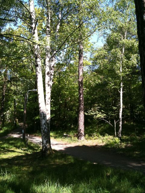 p_2048_1536_5E4DAB02-625D-4885-9E00-A7B376E0EA4E - Blogga från iPhone