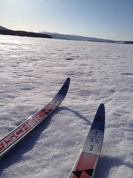 jormskidor1 jormskidor1 - Vasaloppsträning med SkiErg