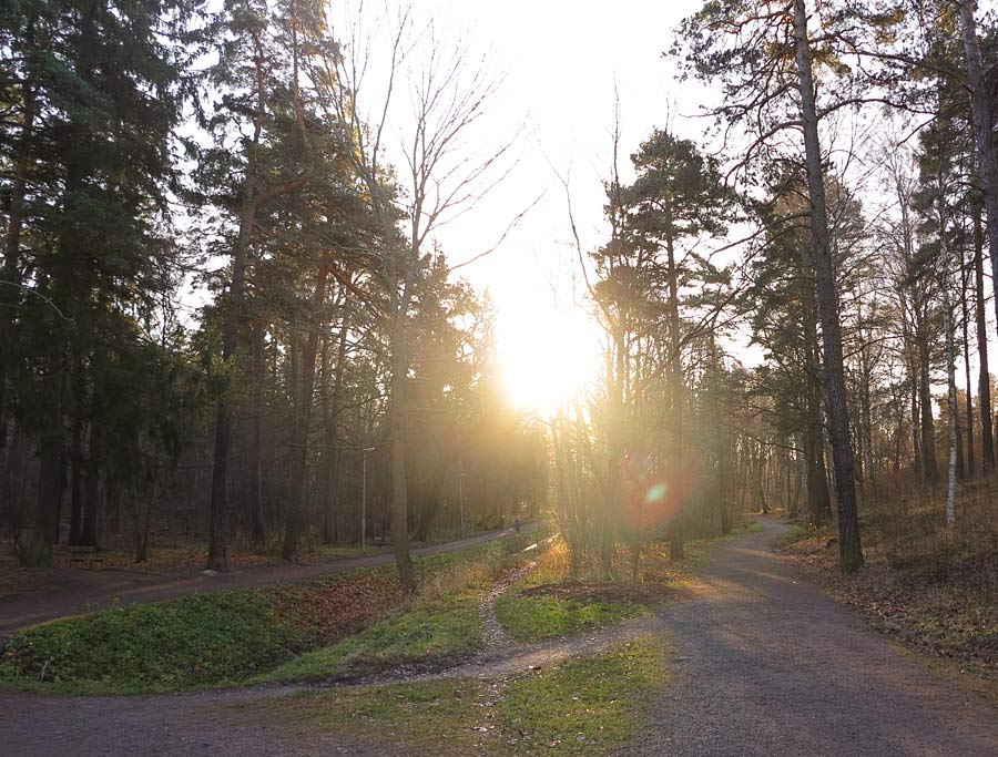 lilljansskogen lilljansskogen - Andas