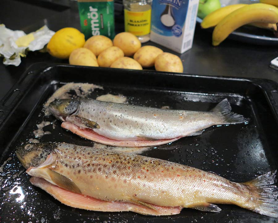 roding1 roding1 - Slemmig vacker god