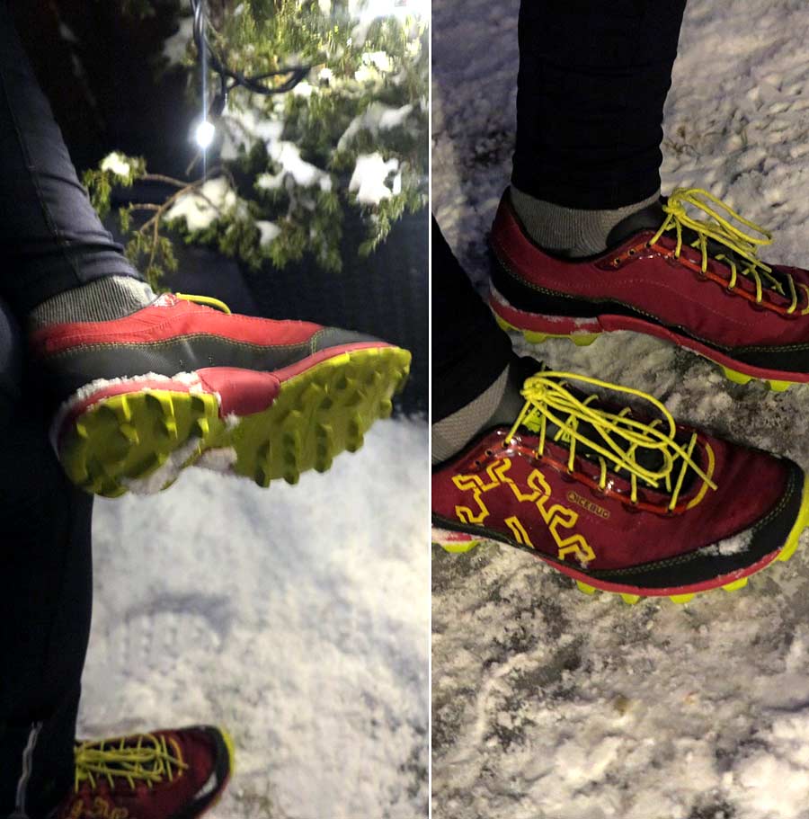 icebug_2 icebug_2 - Icebug Acceleritas 2