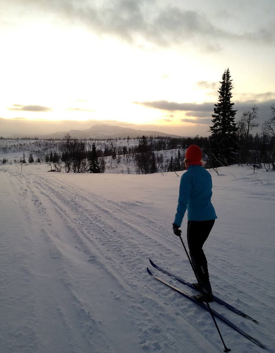 jul2012_skid1 jul2012_skid1 - GULD i Paralympics