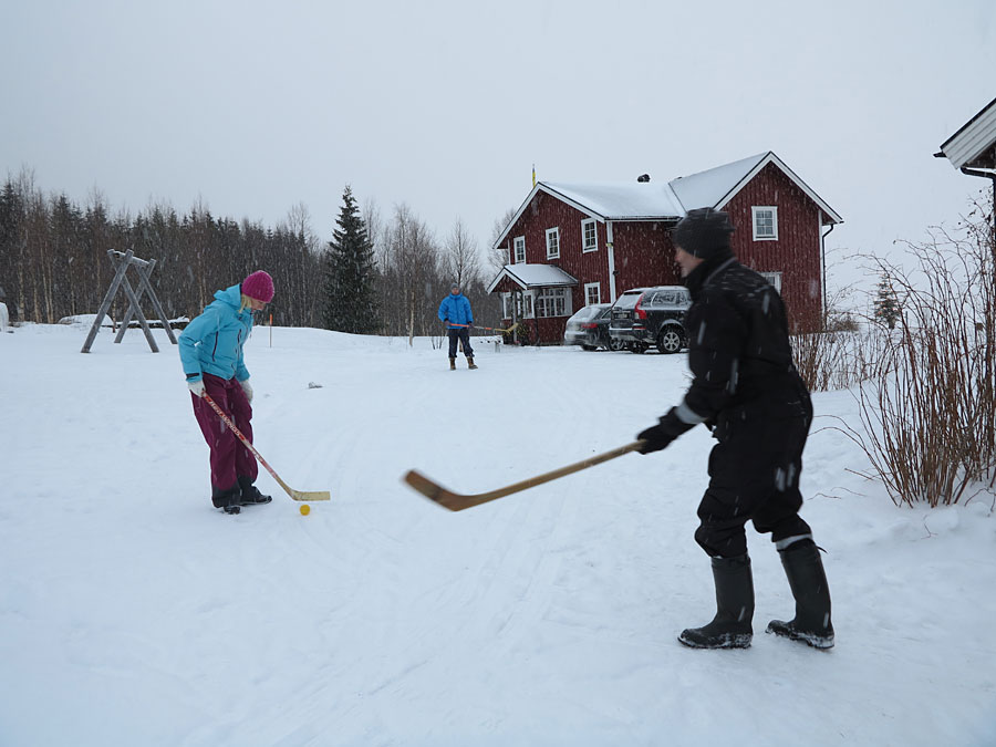 landhockey landhockey - Långfärdsskridskor