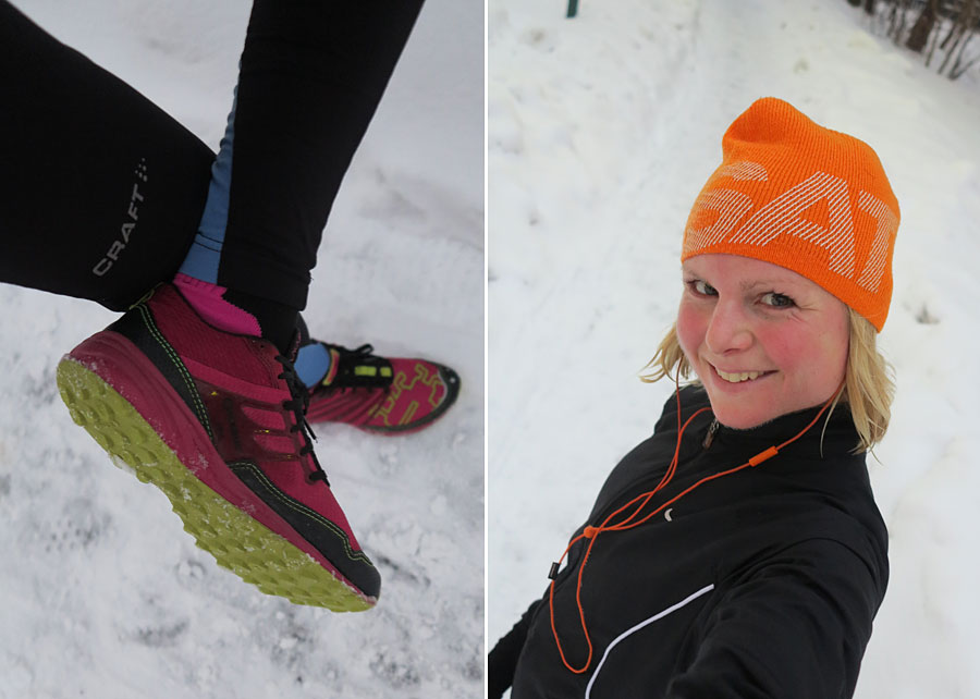 lop_icebug lop_icebug - Backintervaller i Icebug